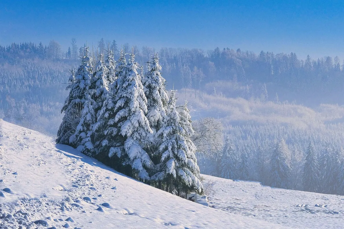 The Yorkshire Dales in Winter: What's Open, What's Closed and What to Pack